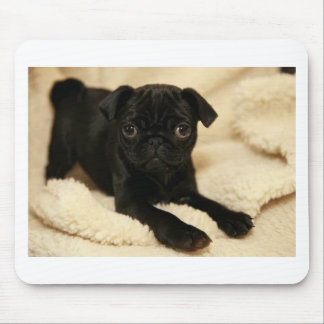 Mousepad Filhote de cachorro preto do Pug