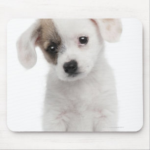 Mousepad Filhote de cachorro transversal da raça (2 meses