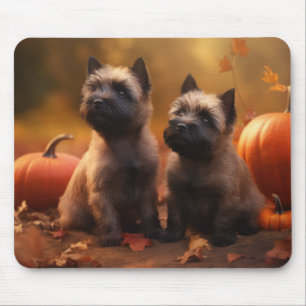 Mousepad Filhote de Cairn Terrier Delícia de Outono Abóbora