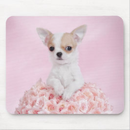Mousepad filhote de Chihuahua