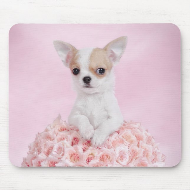 Mousepad filhote de Chihuahua (Frente)