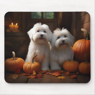 Mousepad Filhote de Coton De Tulear Delícia de Outono Abóbo