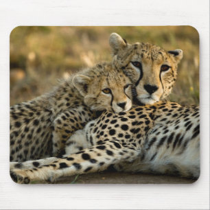 Mousepad Filhote de Guepardo se Aninhando com sua Mãe
