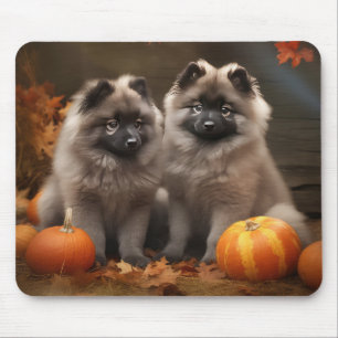 Mousepad Filhote de Keeshond Delícia de Outono Abóbora