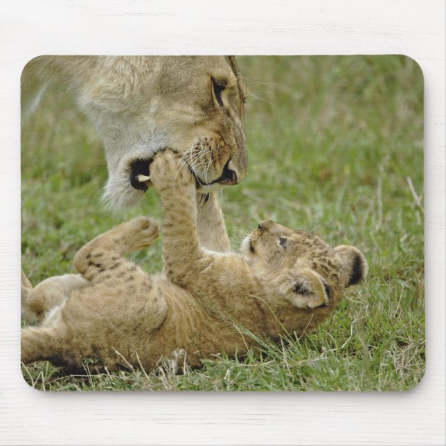 Mousepad Filhote de Leão Brincando (Frente)