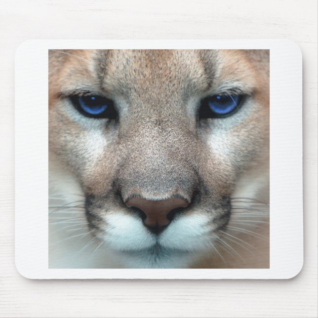 Mousepad Filhote do puma (Frente)