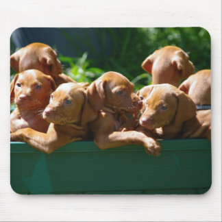 Mousepad Filhotes de cachorro