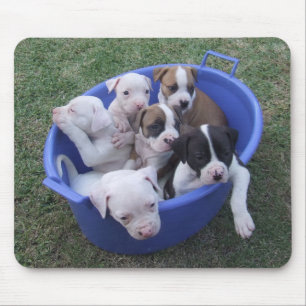 Mousepad Filhotes de cachorro americanos do buldogue