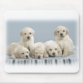 Mousepad Filhotes de cachorro de Labrador