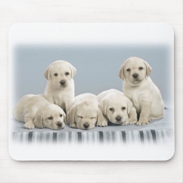 Mousepad Filhotes de cachorro de Labrador (Frente)