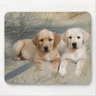 Mousepad Filhotes de cachorro de labrador retriever