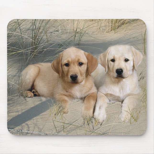 Mousepad Filhotes de cachorro de labrador retriever (Frente)