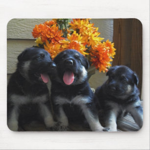 Mousepad Filhotes de cachorro do german shepherd