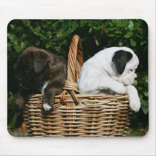 Mousepad Filhotes de cachorro do pugilista na cesta