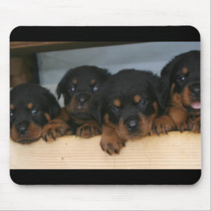Mousepad filhotes de cachorro do rottie