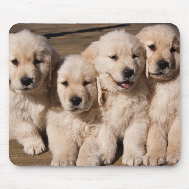 Mousepad Filhotes de cachorro doces do golden retriever (Frente)