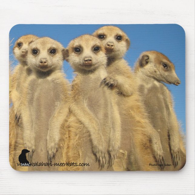 Mousepad Filhotes de cachorro Mousemat do Lazuli (Frente)