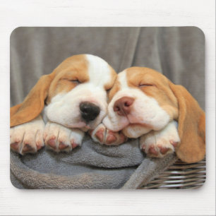 Mousepad Filhotes de cachorro sonolentos