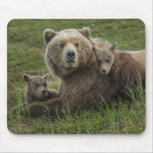 Mousepad Filhotes de Urso Pardo se Aconchegando com a Mãe