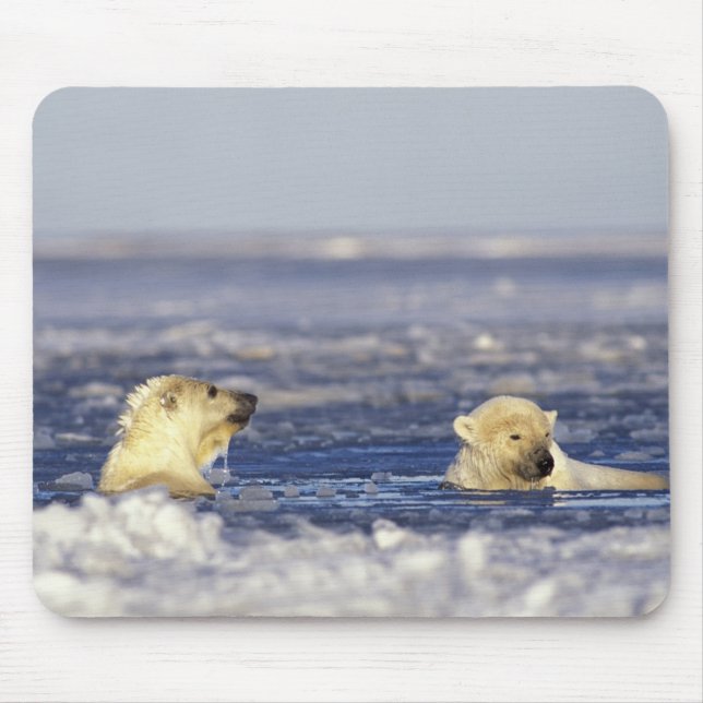 Mousepad Filhotes de urso polar brincando (Frente)
