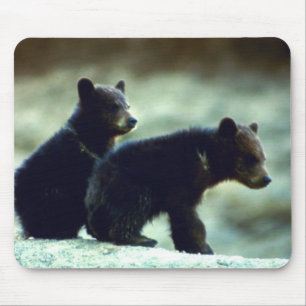 Mousepad Filhotes de urso preto