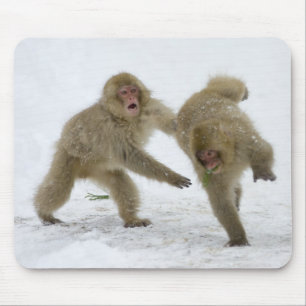 Mousepad Filhotes japoneses do macaco da neve que jogam na