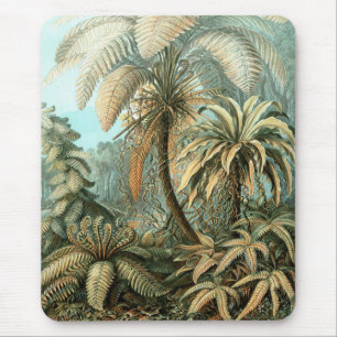 Mousepad Filicinae por Ernst Haeckel, Plantas Vintage Fern