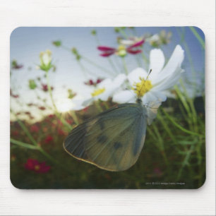 Mousepad Fim-acima da borboleta na flor
