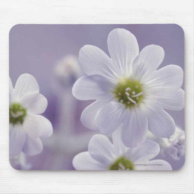Mousepad Fim-acima das flores 2 (Frente)
