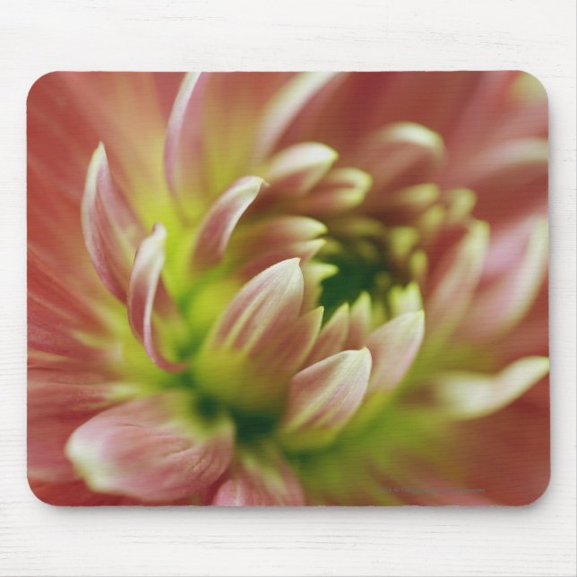 Mousepad Fim-acima de uma flor (Frente)