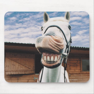 Mousepad Fim-acima do cavalo com a boca aberta
