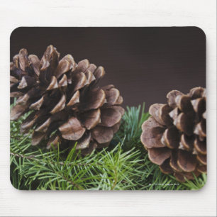 Mousepad Fim-acima do cone do pinho