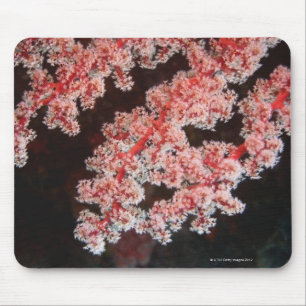 Mousepad Fim-acima do fã de mar subaquático, Sulawesi nor