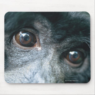 Mousepad Fim-acima do macaco