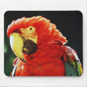 Mousepad Fim-Acima voado verde do pássaro do papagaio do