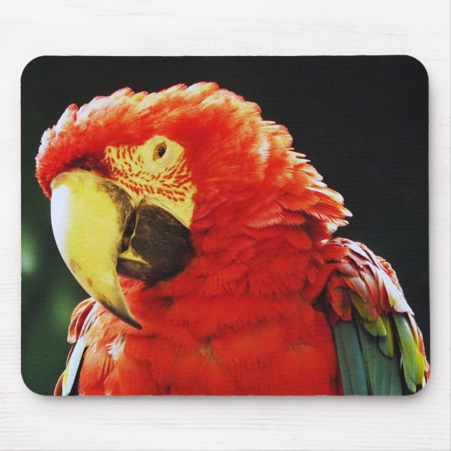 Mousepad Fim-Acima voado verde do pássaro do papagaio do (Frente)