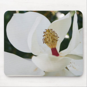 Mousepad Fim branco da flor dos presentes da flor da