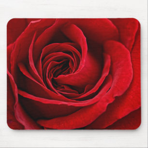 Mousepad Fim brilhante da rosa vermelha acima