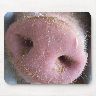 Mousepad Fim cor-de-rosa do nariz do porco acima da