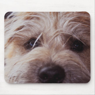 Mousepad fim da cara do filhote de cachorro acima do tapete