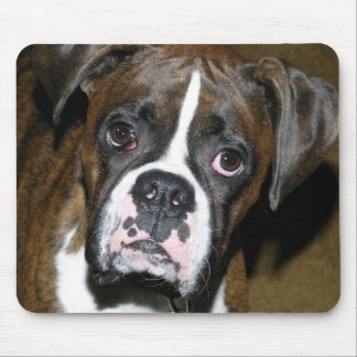 Mousepad Fim de Bailey acima