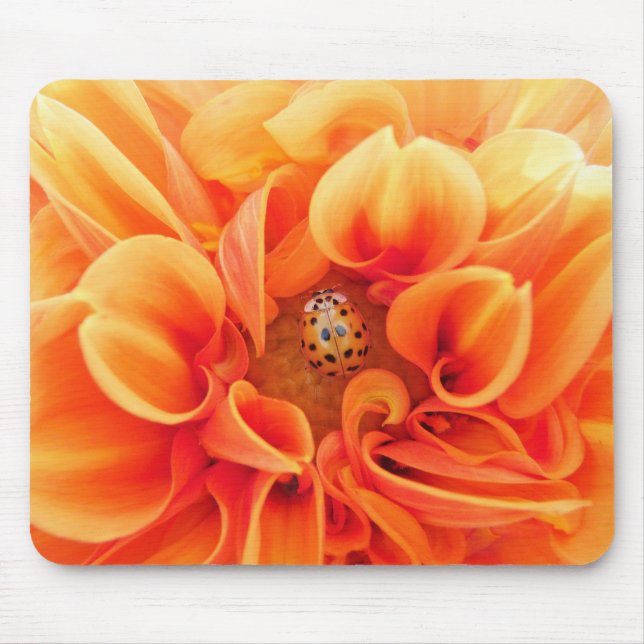 Mousepad Fire Orange Dahlia com Lady Bug Flower (Frente)