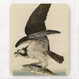 Mousepad Fish Hawk, Osprey, das Aves da América de Audubon