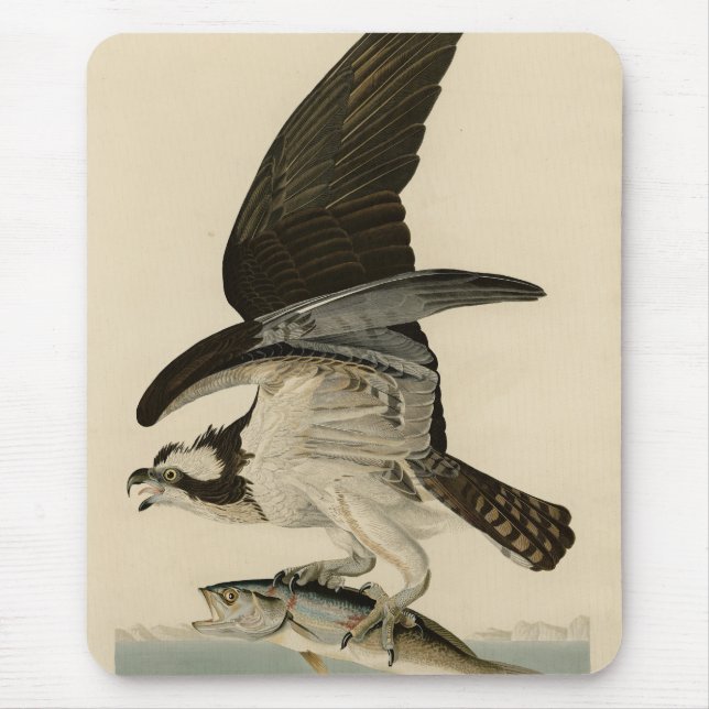 Mousepad Fish Hawk, Osprey, das Aves da América de Audubon (Frente)