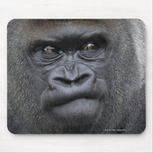 Mousepad Flachlandgorilla, gorila