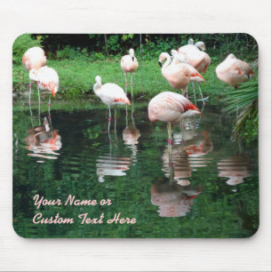 Mousepad Flamboyance do flamingo