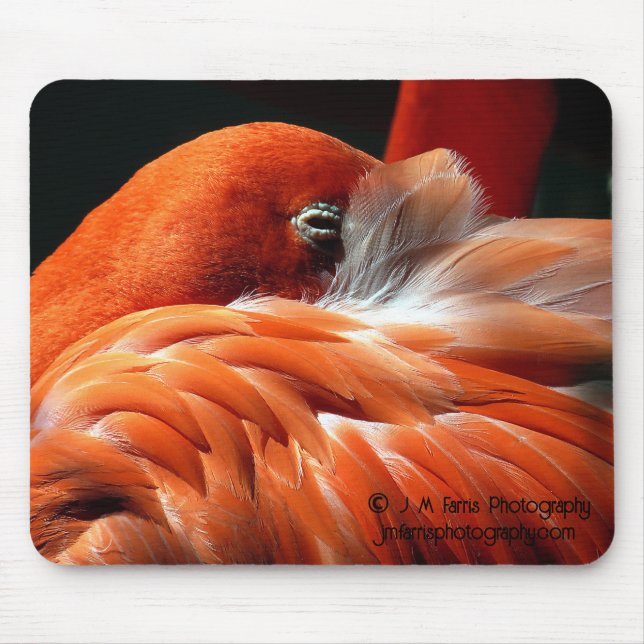 Mousepad Flamingo (Frente)