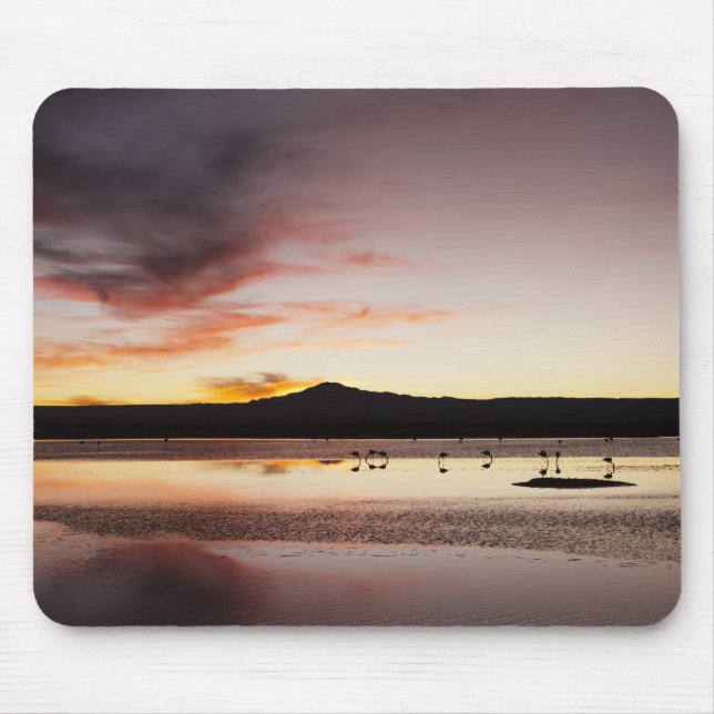Mousepad Flamingo Chileno (Frente)