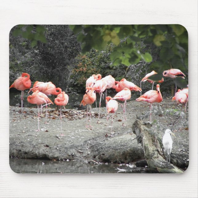 Mousepad flamingos (Frente)