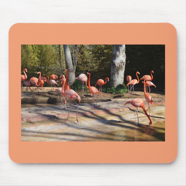 Mousepad Flamingos (Frente)